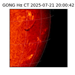 gong - 2025-07-21T20:00:42