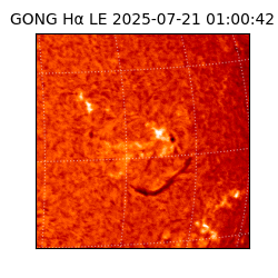 gong - 2025-07-21T01:00:42