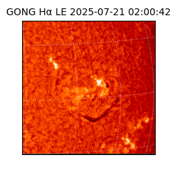 gong - 2025-07-21T02:00:42