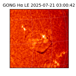 gong - 2025-07-21T03:00:42