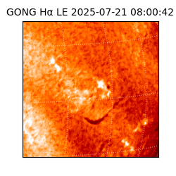 gong - 2025-07-21T08:00:42