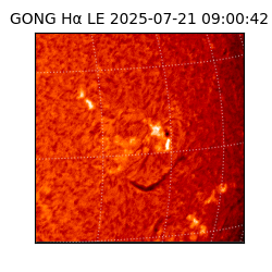 gong - 2025-07-21T09:00:42