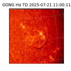 gong - 2025-07-21T11:00:11