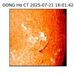 gong - 2025-07-21T16:01:42