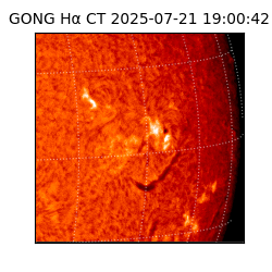 gong - 2025-07-21T19:00:42