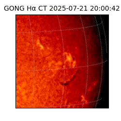 gong - 2025-07-21T20:00:42