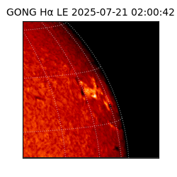 gong - 2025-07-21T02:00:42