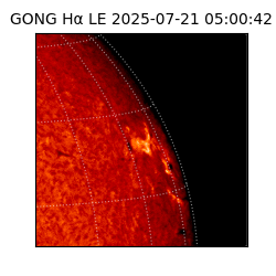 gong - 2025-07-21T05:00:42