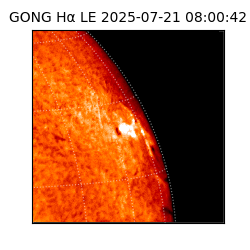 gong - 2025-07-21T08:00:42
