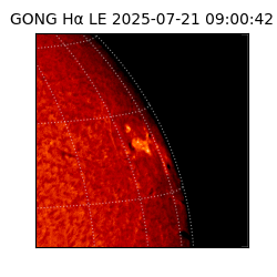 gong - 2025-07-21T09:00:42