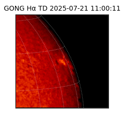 gong - 2025-07-21T11:00:11