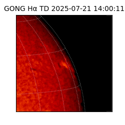 gong - 2025-07-21T14:00:11