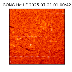 gong - 2025-07-21T01:00:42
