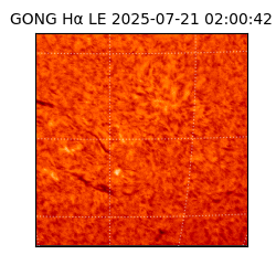 gong - 2025-07-21T02:00:42