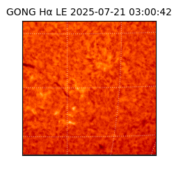 gong - 2025-07-21T03:00:42