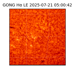 gong - 2025-07-21T05:00:42