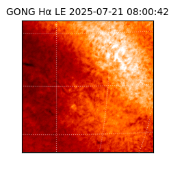 gong - 2025-07-21T08:00:42
