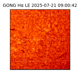 gong - 2025-07-21T09:00:42