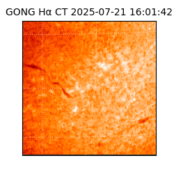 gong - 2025-07-21T16:01:42