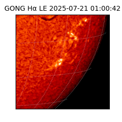 gong - 2025-07-21T01:00:42
