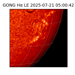 gong - 2025-07-21T05:00:42