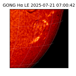 gong - 2025-07-21T07:00:42