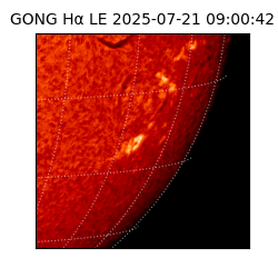 gong - 2025-07-21T09:00:42