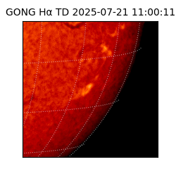 gong - 2025-07-21T11:00:11