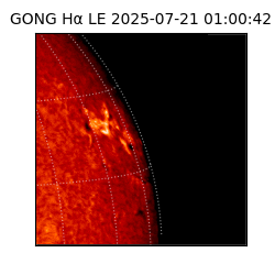 gong - 2025-07-21T01:00:42