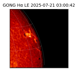 gong - 2025-07-21T03:00:42