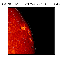 gong - 2025-07-21T05:00:42