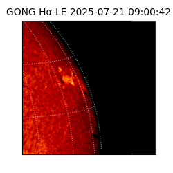 gong - 2025-07-21T09:00:42