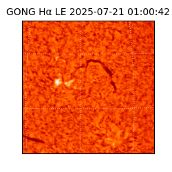 gong - 2025-07-21T01:00:42