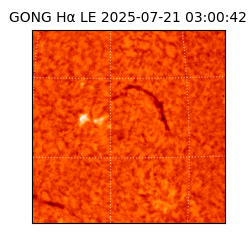 gong - 2025-07-21T03:00:42