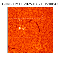 gong - 2025-07-21T05:00:42