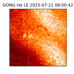 gong - 2025-07-21T08:00:42