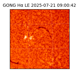 gong - 2025-07-21T09:00:42