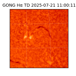 gong - 2025-07-21T11:00:11