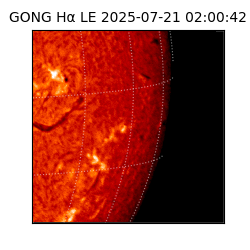 gong - 2025-07-21T02:00:42