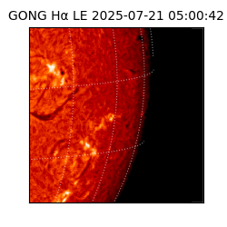 gong - 2025-07-21T05:00:42
