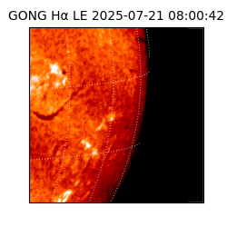 gong - 2025-07-21T08:00:42