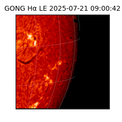 gong - 2025-07-21T09:00:42