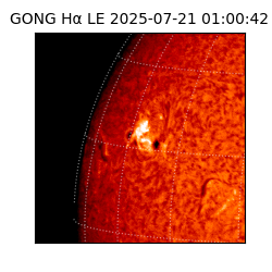 gong - 2025-07-21T01:00:42