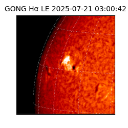 gong - 2025-07-21T03:00:42
