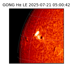 gong - 2025-07-21T05:00:42