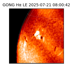 gong - 2025-07-21T08:00:42
