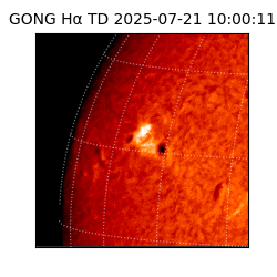 gong - 2025-07-21T10:00:11