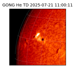 gong - 2025-07-21T11:00:11