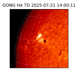 gong - 2025-07-21T14:00:11