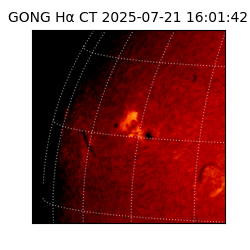 gong - 2025-07-21T16:01:42